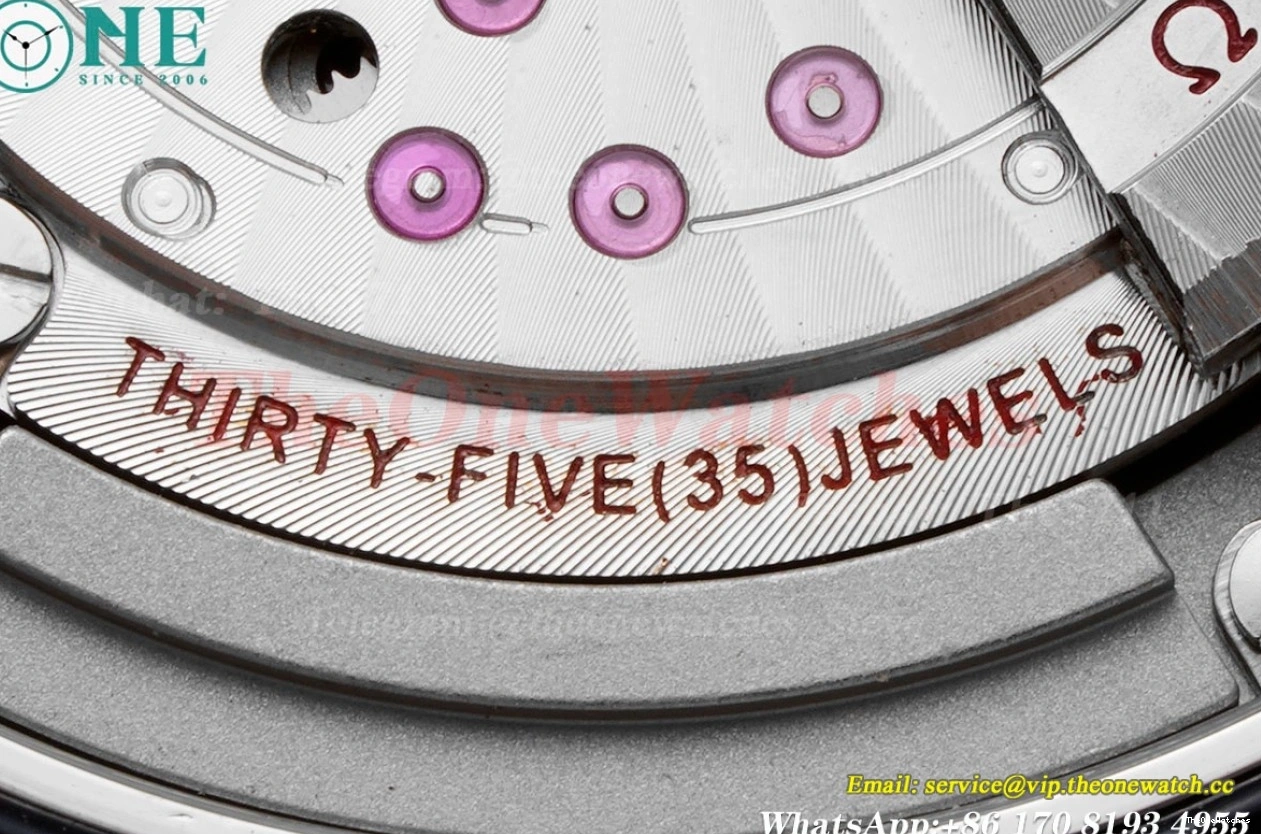 Seamaster Wht A8800 SS SS blue 300m 42mm JVSF 0112